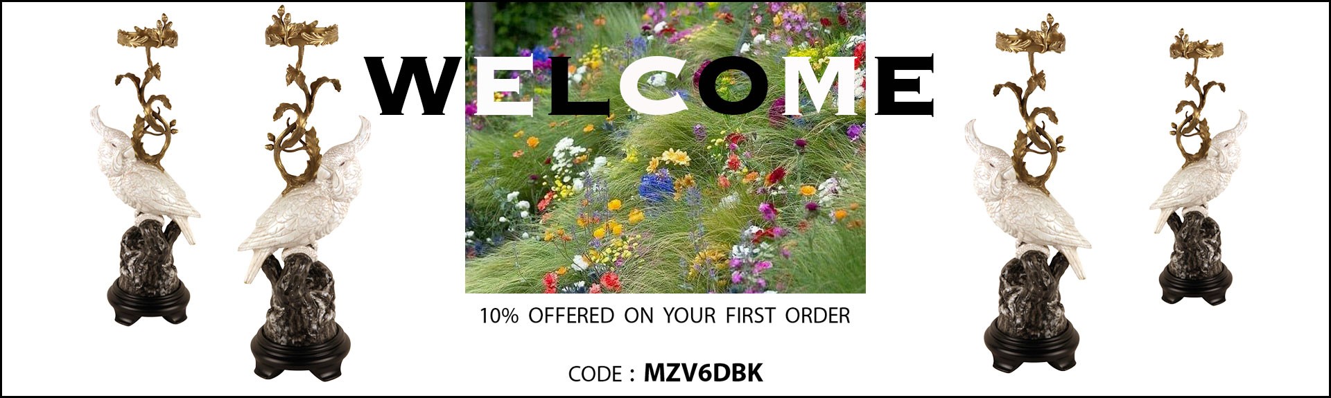 Wellcome Offer
